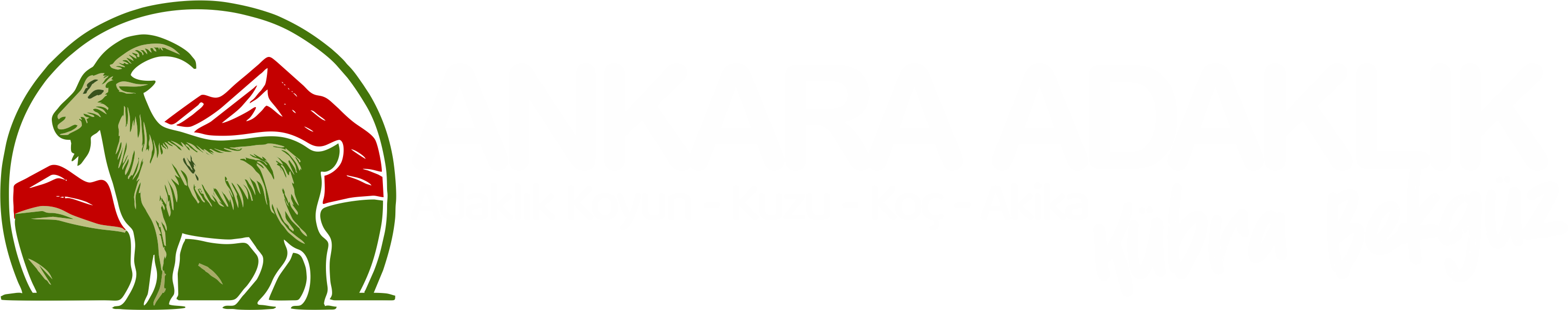 Ankara adaklık Kurban Kübra bekgüz 